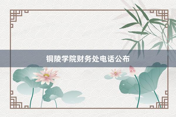 铜陵学院财务处电话公布