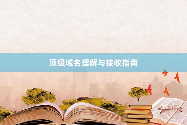 顶级域名理解与接收指南