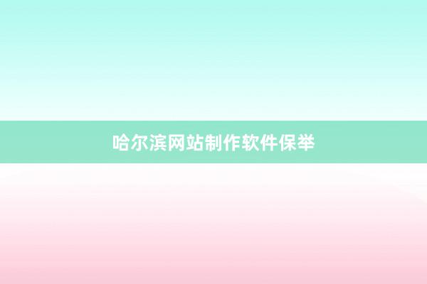 哈尔滨网站制作软件保举