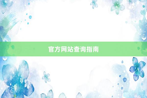 官方网站查询指南