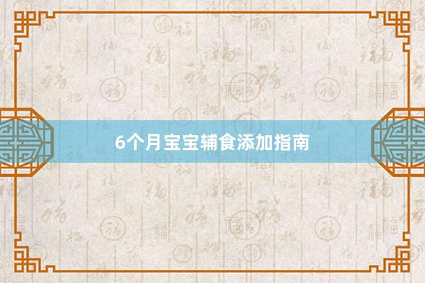 6个月宝宝辅食添加指南